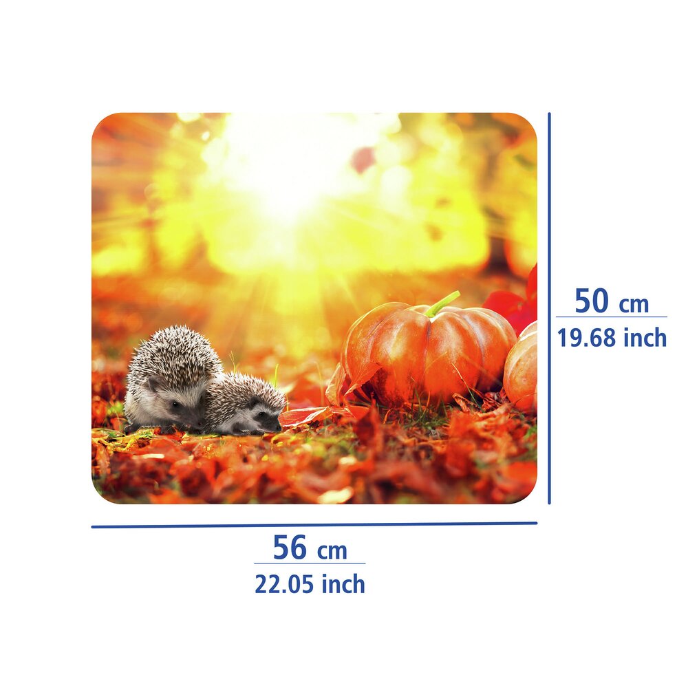 HERBST Multiplatte 56x50 cm aus Glas