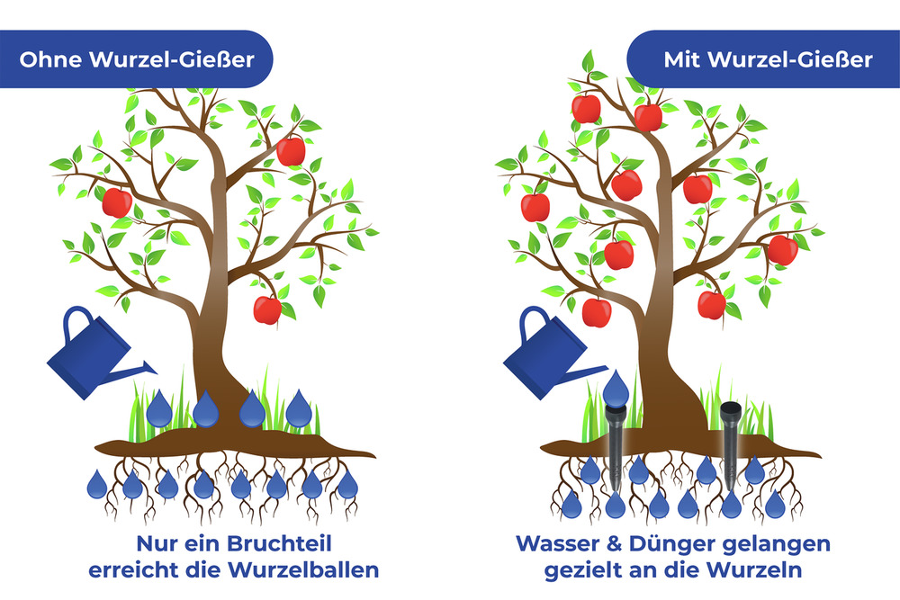 Wurzel-Gießer, 6er-Set
