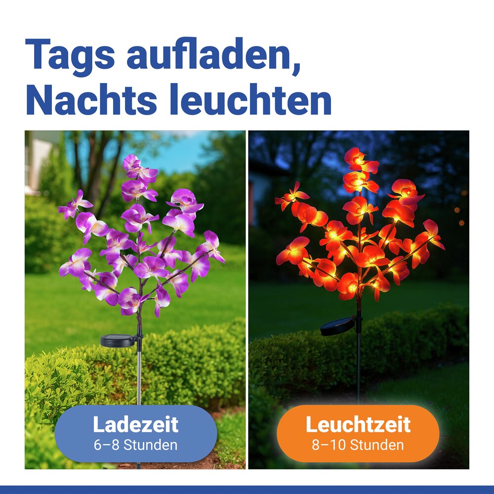 ORCHIDEE Gartenstecker solarbetrieben, 2er-Set