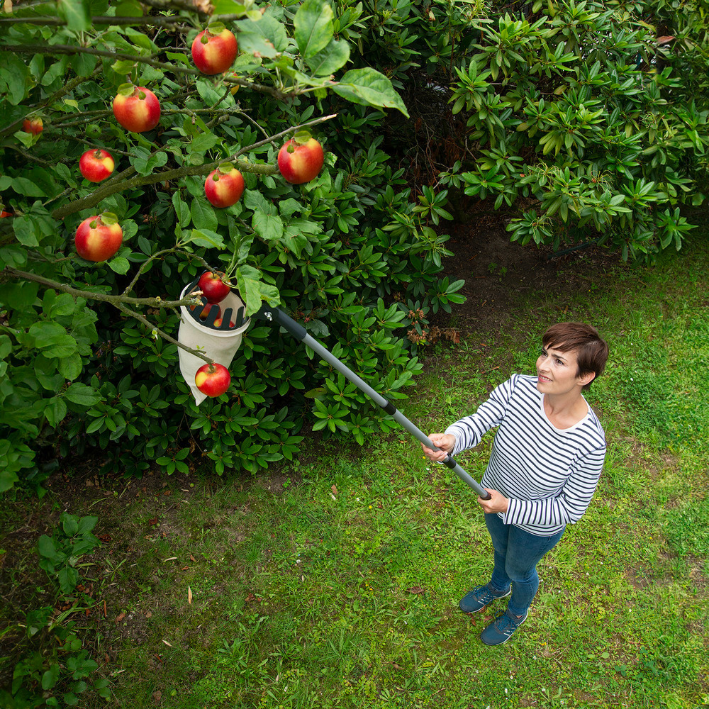 Obstsammler XL mit Teleskopstiel