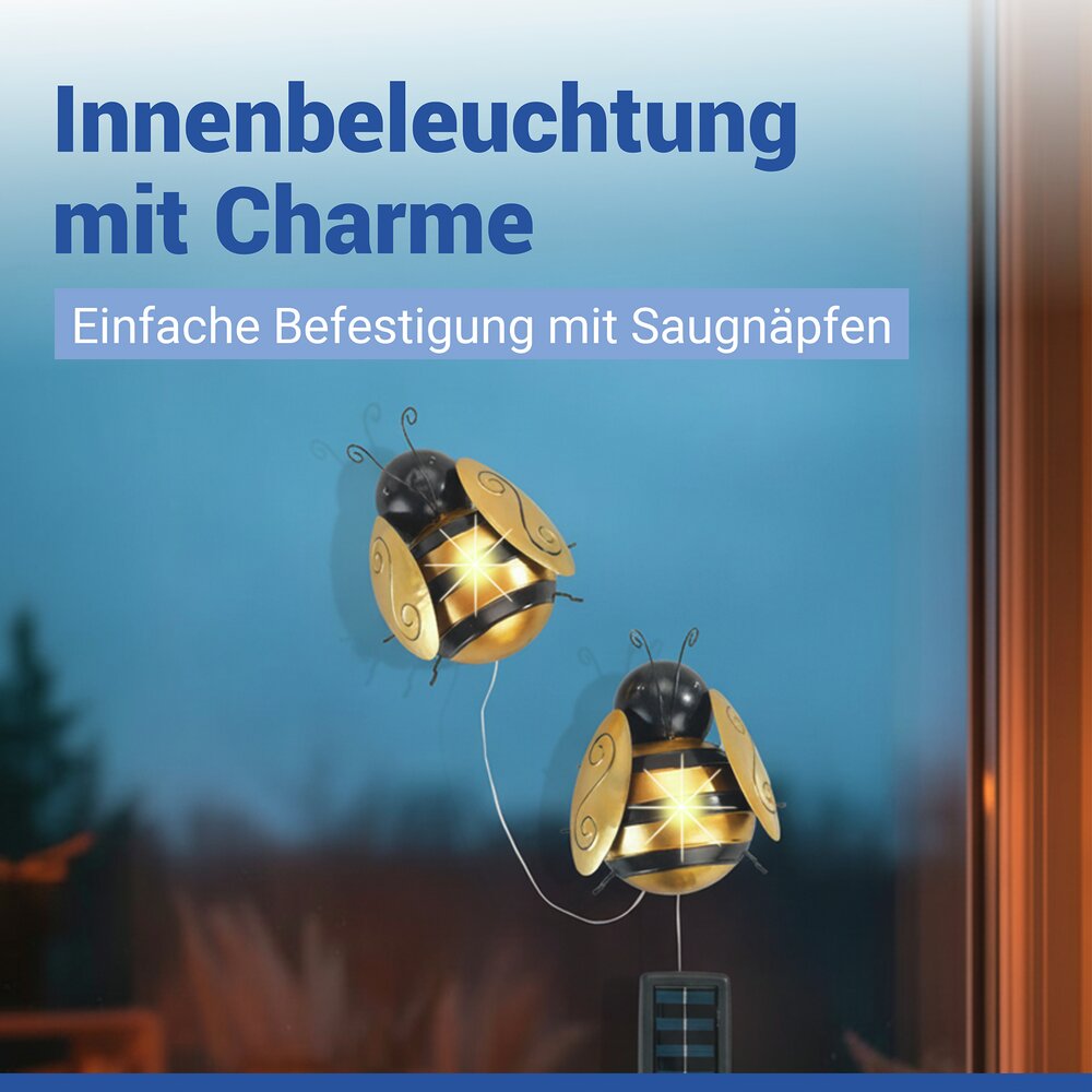 BIENE LED Solarleuchte, 2er-Set