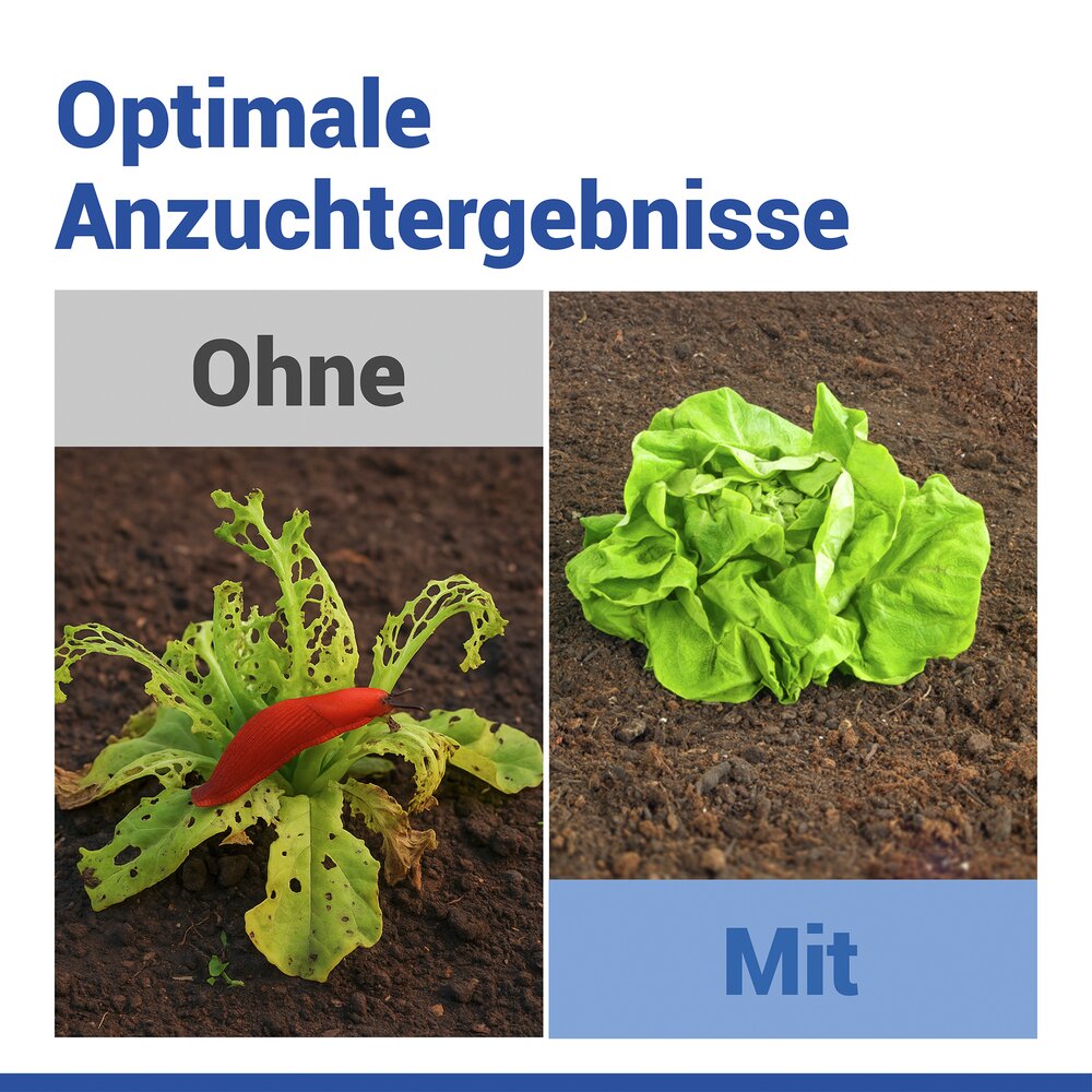 PFLANZENDOM Anzuchthilfe 3in1, 15-teilig