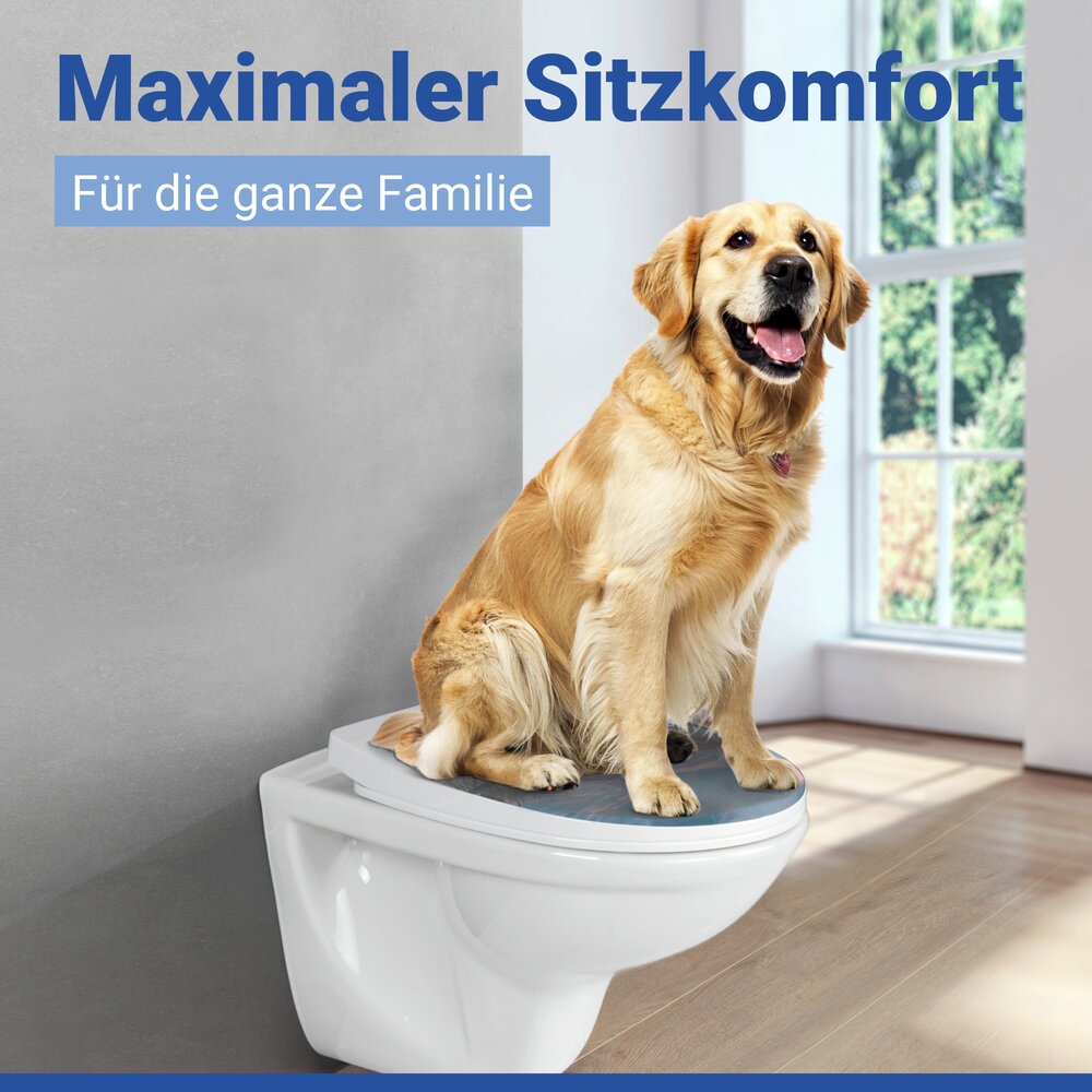 BALTIC Toilettendeckel belastbar bis 350 kg