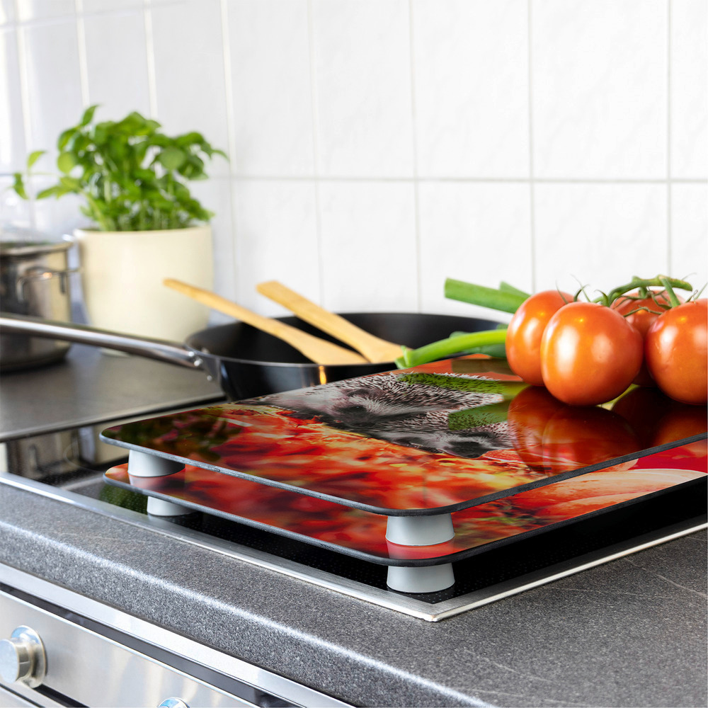 HERBST 2er-Set Herdabdeckplatten aus Glas