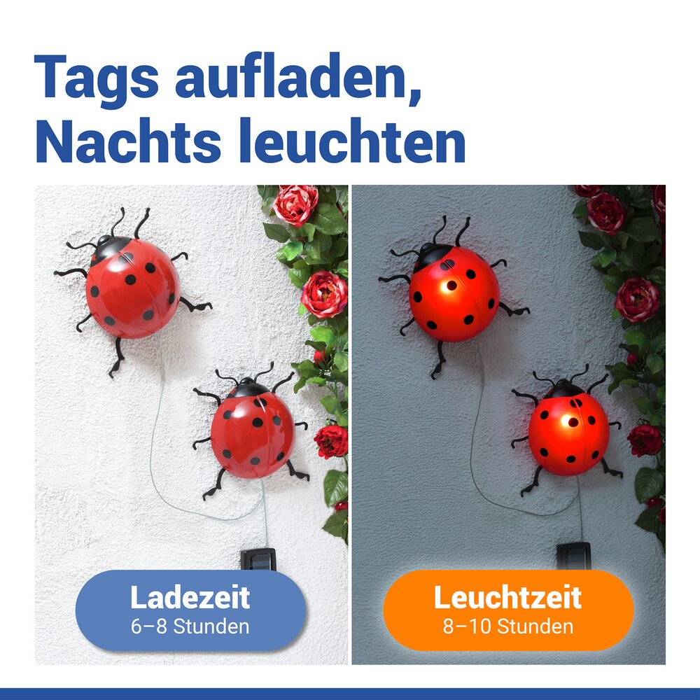 MARIENKÄFER Solarleuchte, 2er-Set