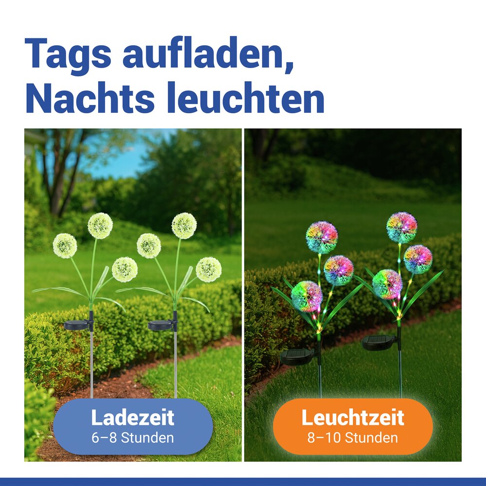 PUSTEBLUME Gartenstecker Solar, 2er-Set