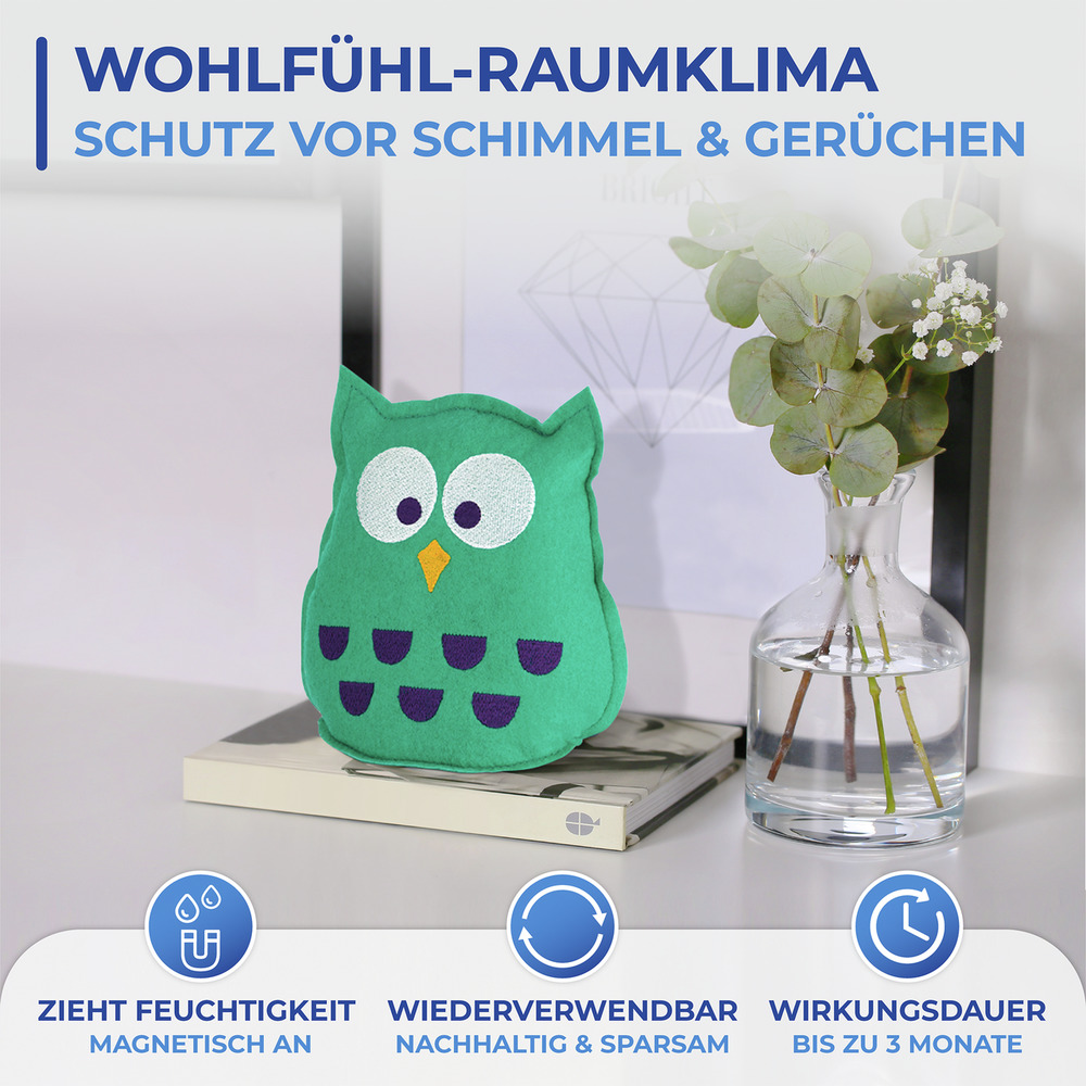  EULE Raumentfeuchter 1000g, 2er Set