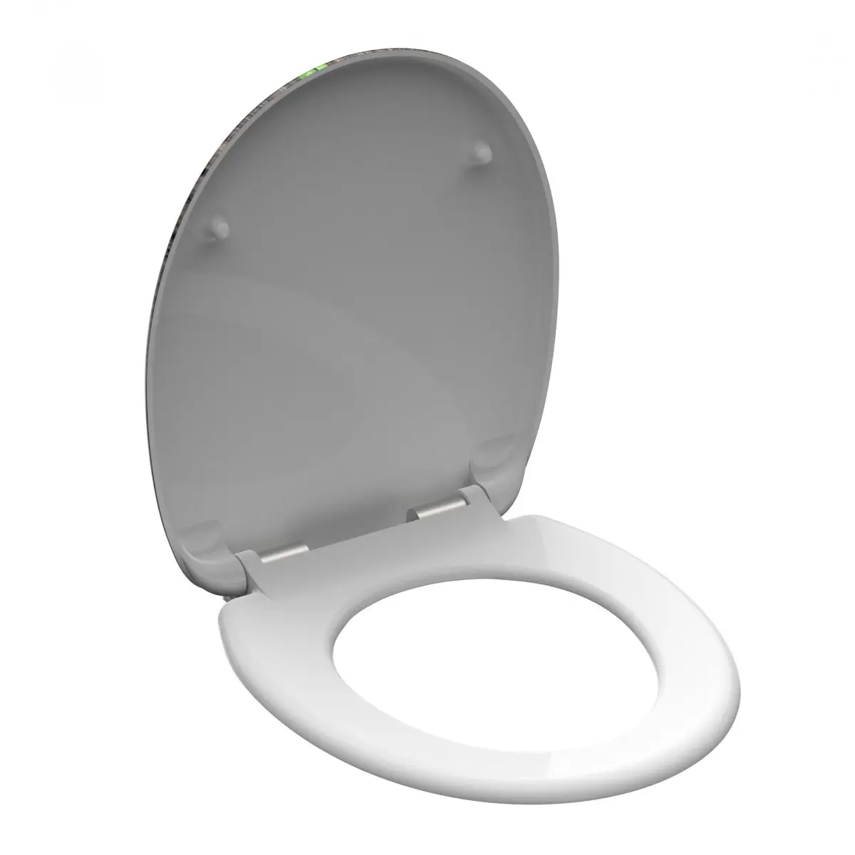 GINGKO & WOOD WC-Sitz mit Absenkautomatik