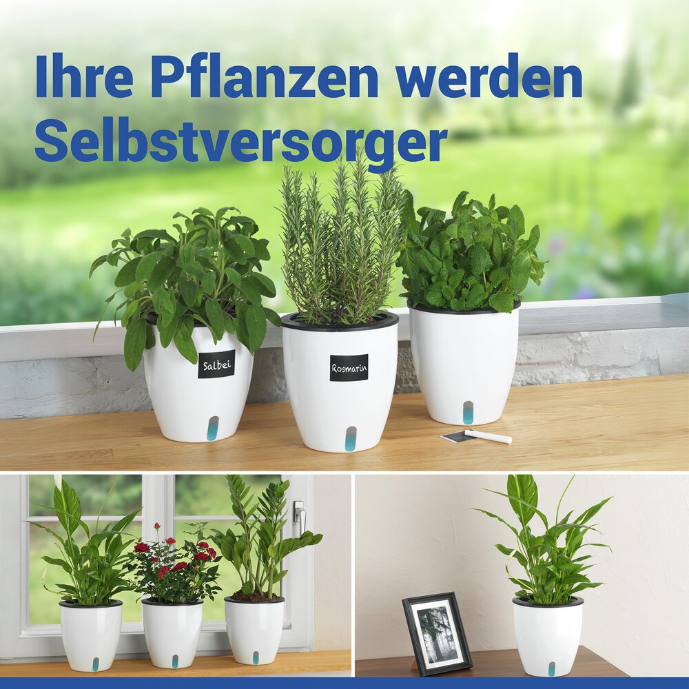 Selbstbewässernde Pflanztöpfe Ø 18 cm, 15-teilig