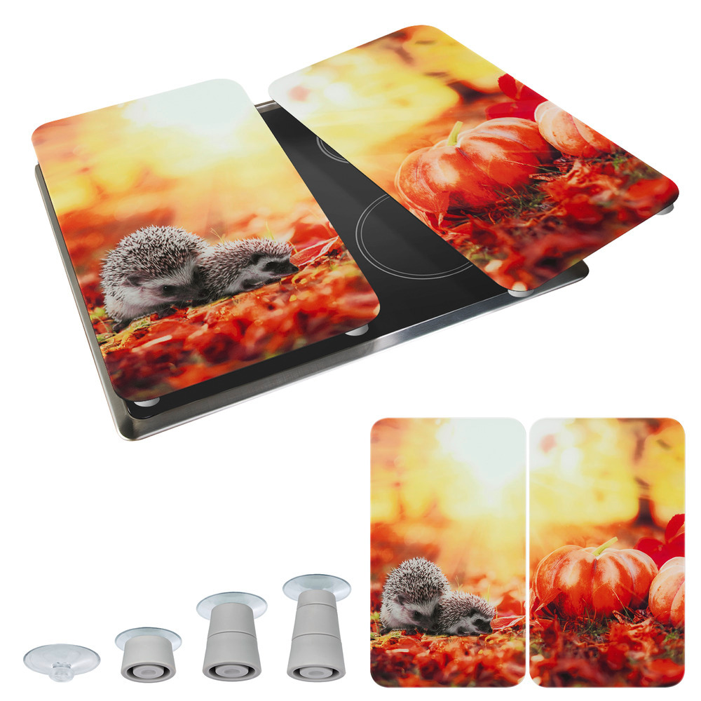 HERBST 2er-Set Herdabdeckplatten aus Glas