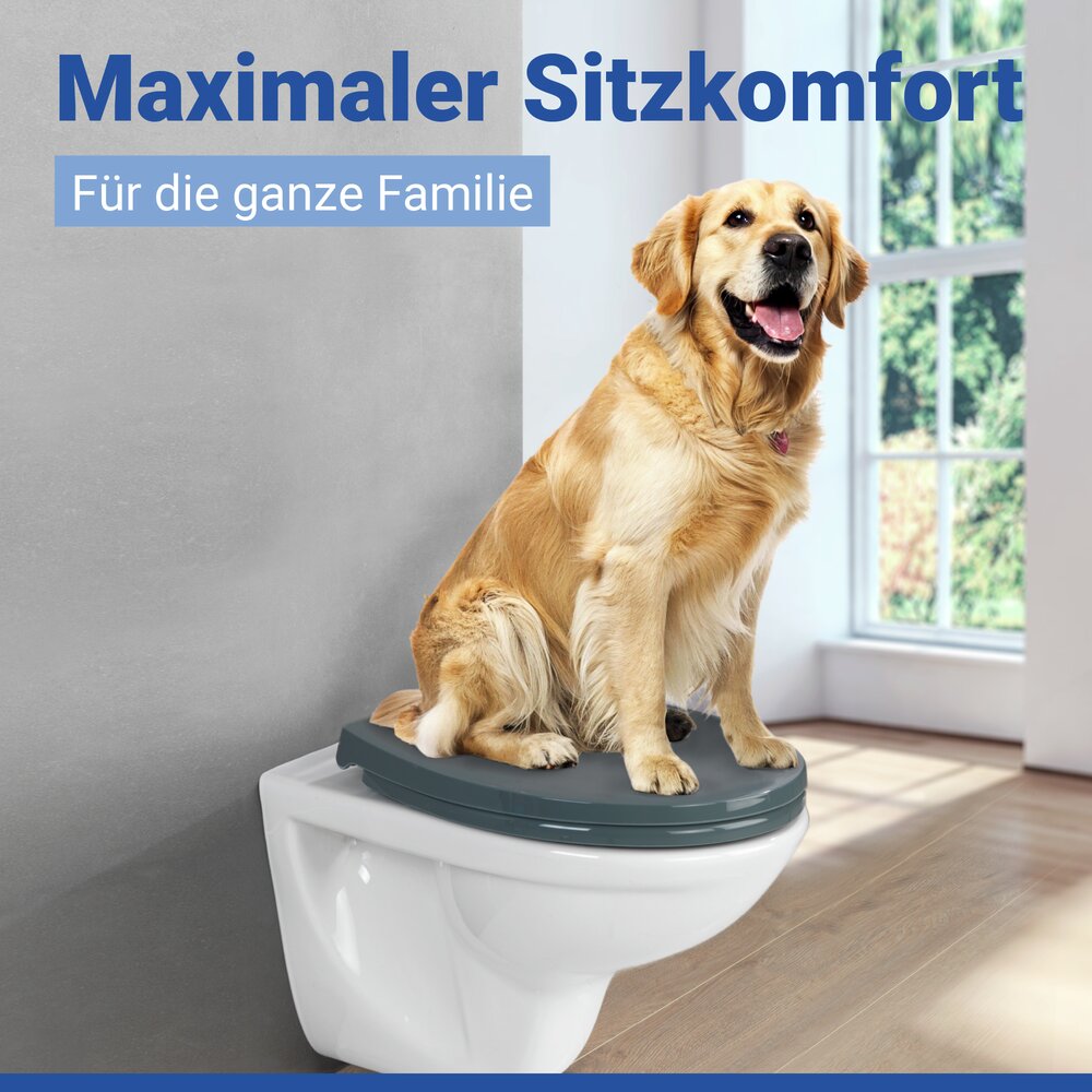 OSTUNI grau WC-Sitz belastbar bis 300 kg