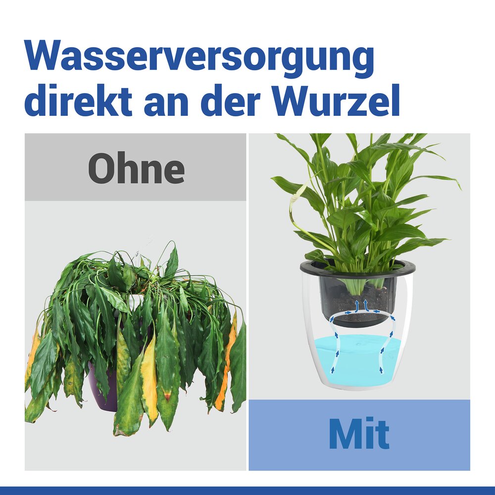 Selbstbewässernde Pflanztöpfe Ø 18 cm, 15-teilig