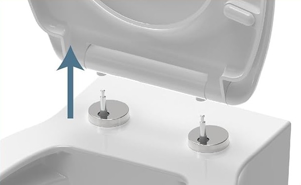 WC Sitz D-Shape Softclose abnehmbar