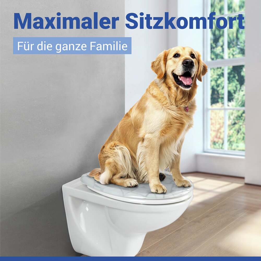MOSAIC Allstar WC-Sitz mit Absenkautomatik