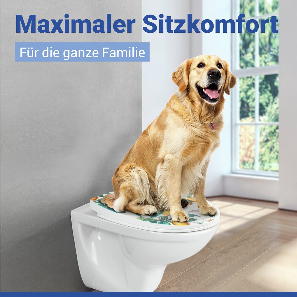 ALBEROLA WC-Sitz belastbar bis 350 kg