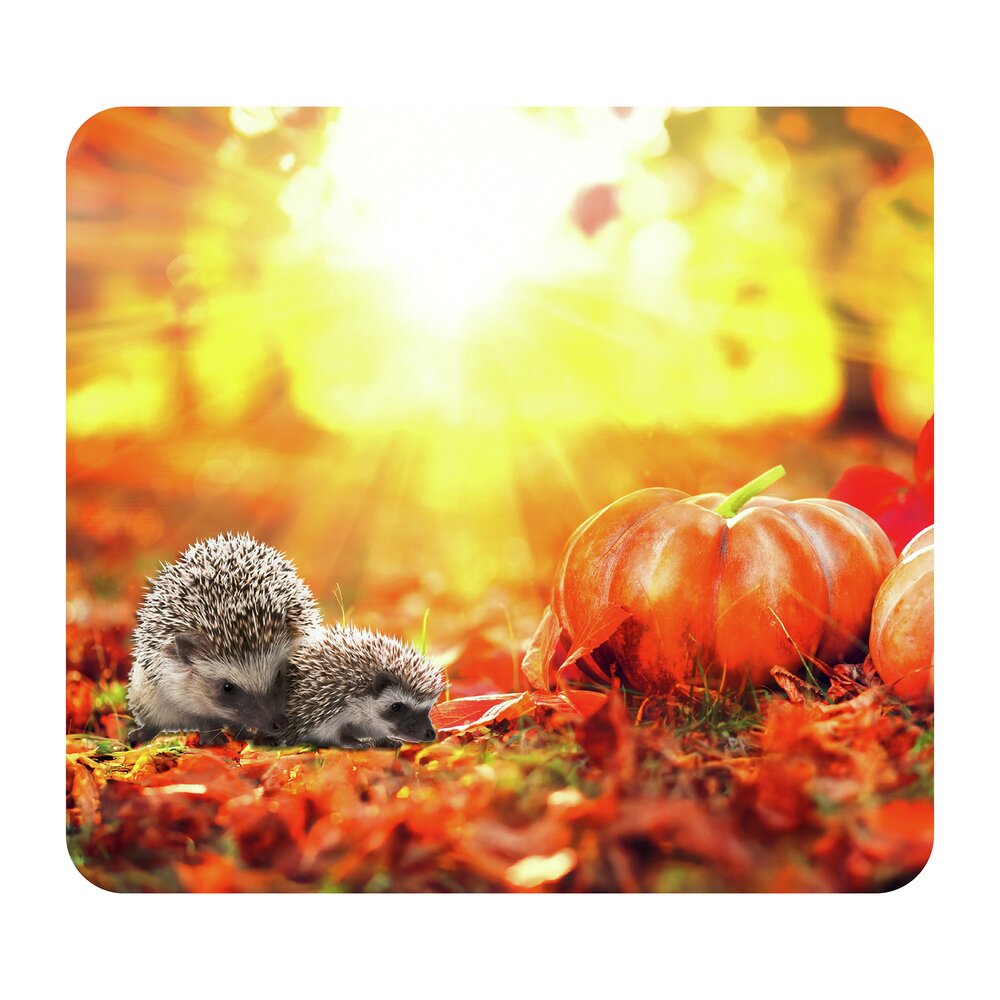 Multi-Platte Mod. Herbst
