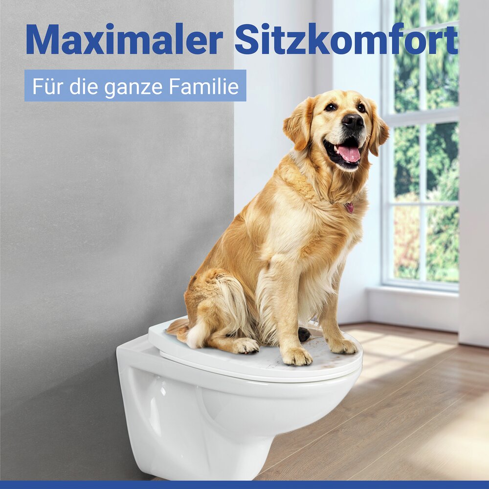 BAUTOLE WC-Sitz belastbar bis 350 kg