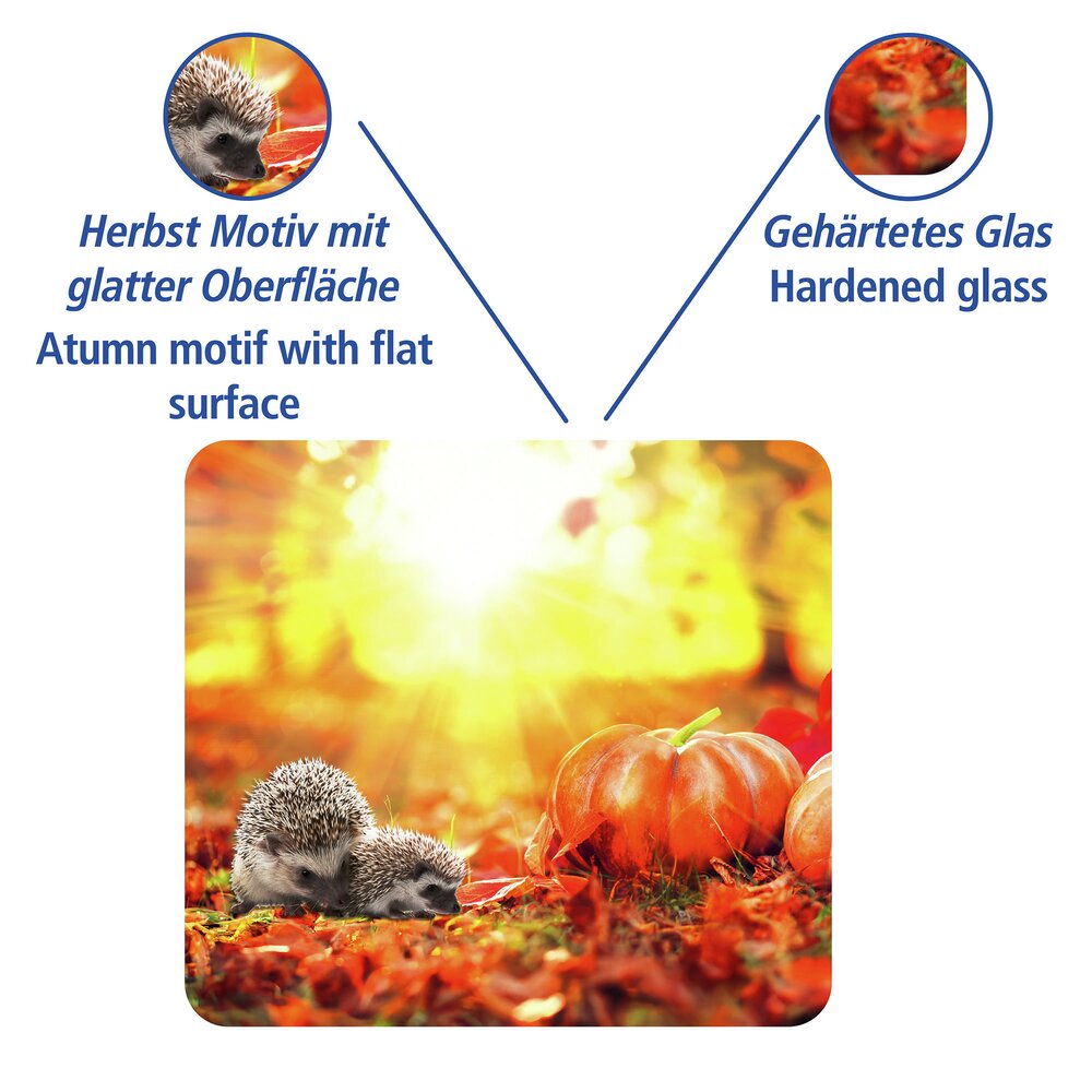 HERBST Multiplatte 56x50 cm aus Glas