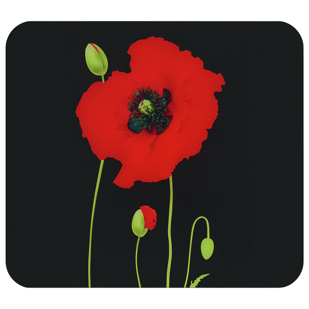 MOHN Multiplatte 56x50 cm aus Glas